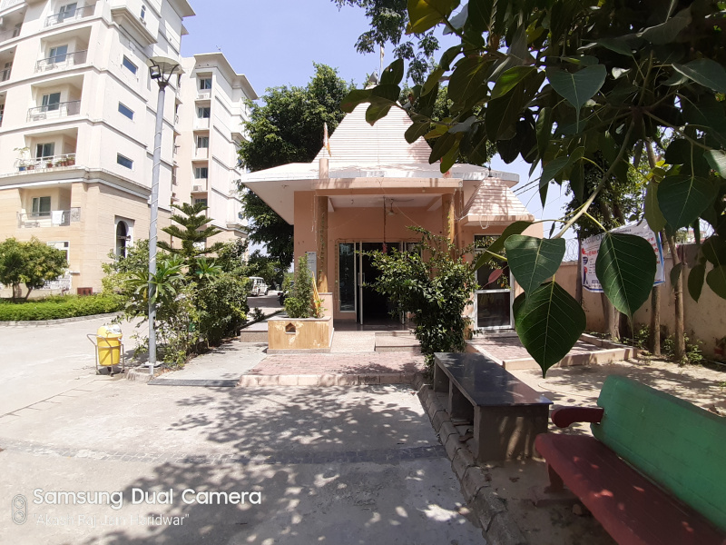 Additional image 2 of Patanjali Yogpeeth, Haridwar