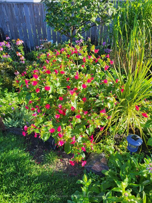 Additional image 40 of 7 CAMELOT Dr