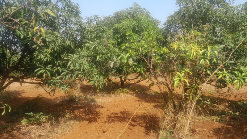 Additional image 3 of Muranjan Wadi, Andheri East, Mumbai