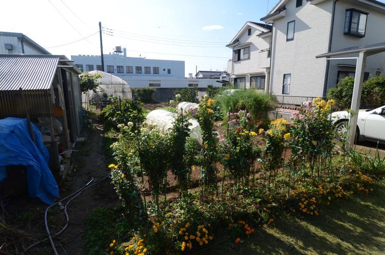 Additional image 17 of Higashiiwasaki, Togane City, Chiba Prefecture