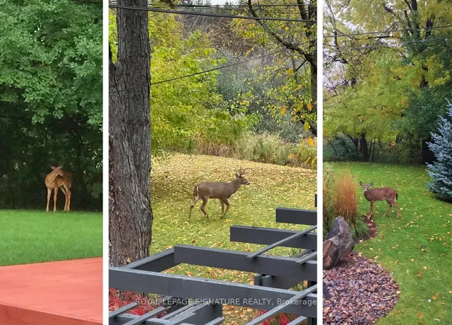 Additional image 39 of 39 Farmcote Rd