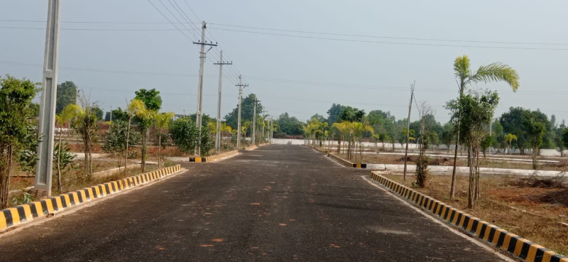 Primary image of Tagarapuvalasa, Visakhapatnam