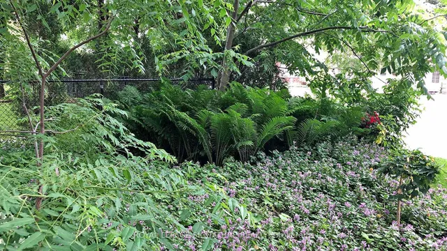 Additional image 42 of 1505 Moss Glen Crt