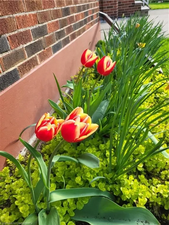 Additional image 30 of 1 Barclay St