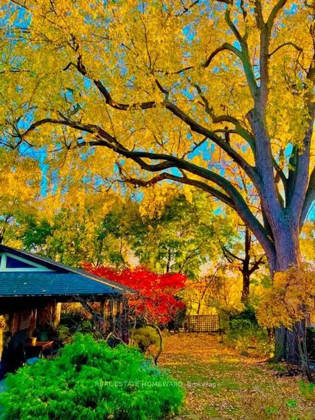 Additional image 35 of 49 Hogarth Ave