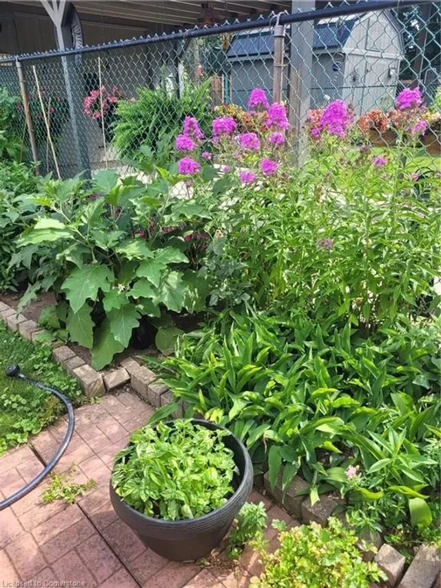 Additional image 33 of 1 Barclay St