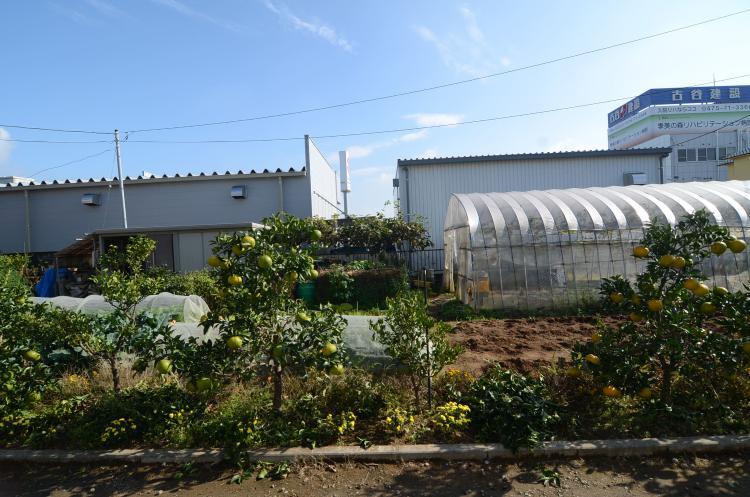 Additional image 15 of Higashiiwasaki, Togane City, Chiba Prefecture