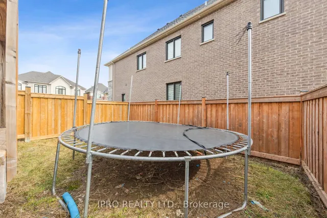 Additional image 49 of 1187 Raspberry Terr