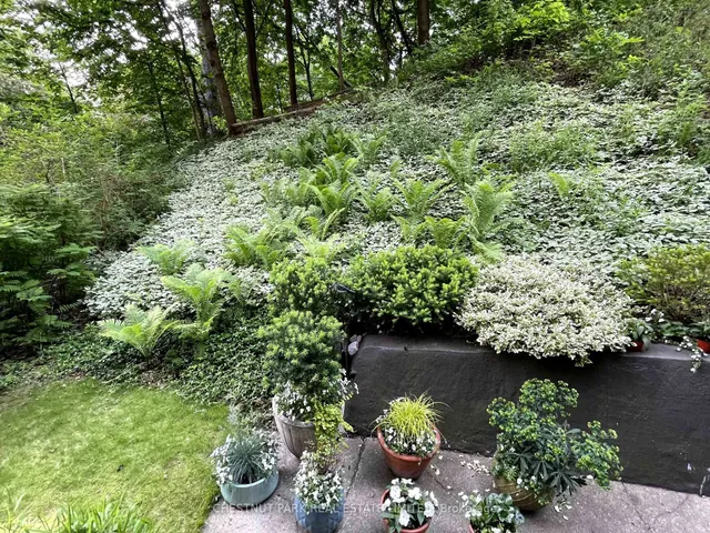 Additional image 13 of 120 Rosedale Valley Rd Unit 211