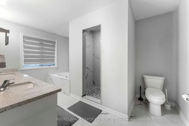 Additional image 25 of 84 Iceland Poppy Tr