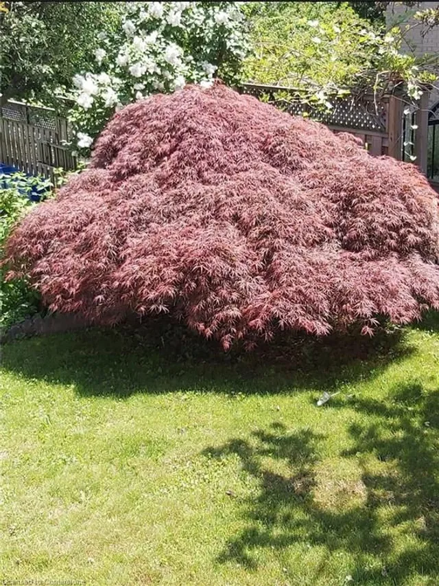 Additional image 44 of 1275 Ottawa St