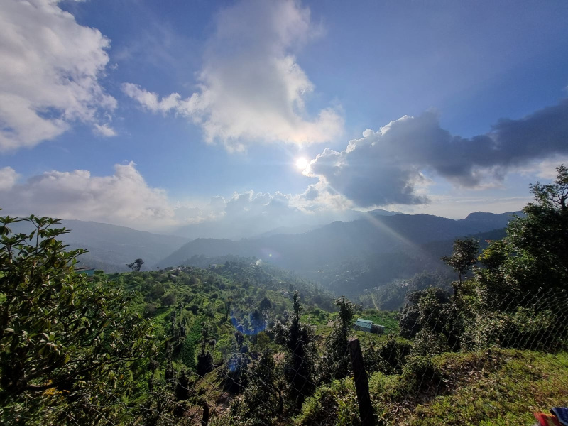 Primary image of Mukteshwar, Nainital