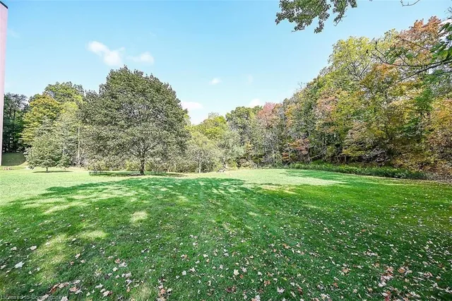 Additional image 40 of 1968 Main St Unit 409