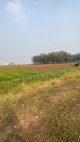 Additional image 2 of Sampatchak, Patna