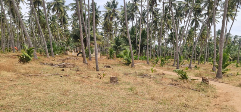 Additional image 3 of Pollachi, Coimbatore