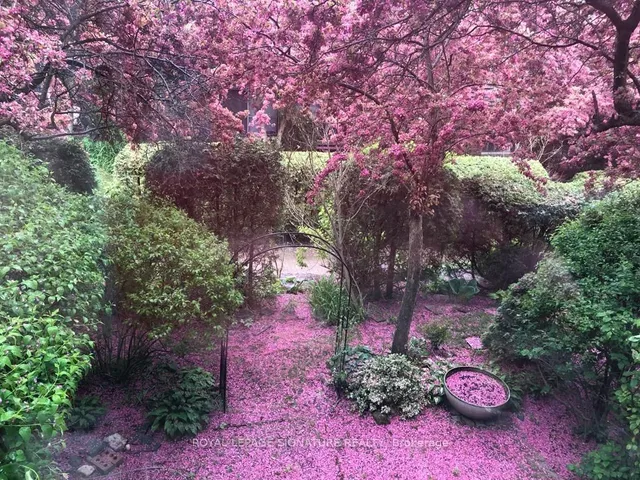 Additional image 38 of 19 Laurie Shepway N/A