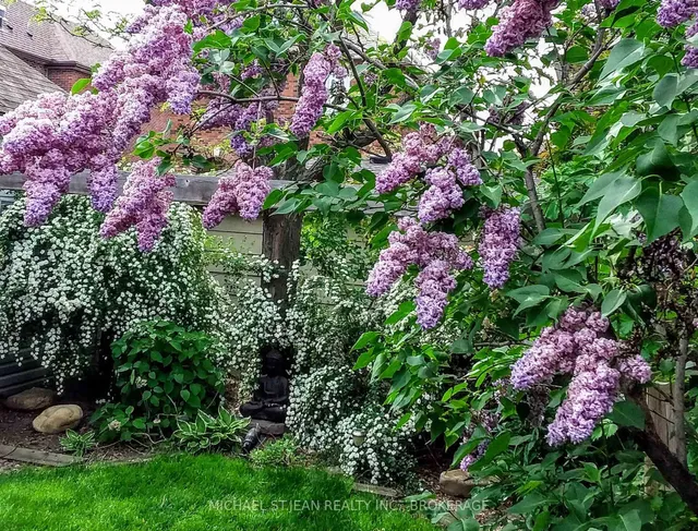 Additional image 37 of 264 Houghton Ave