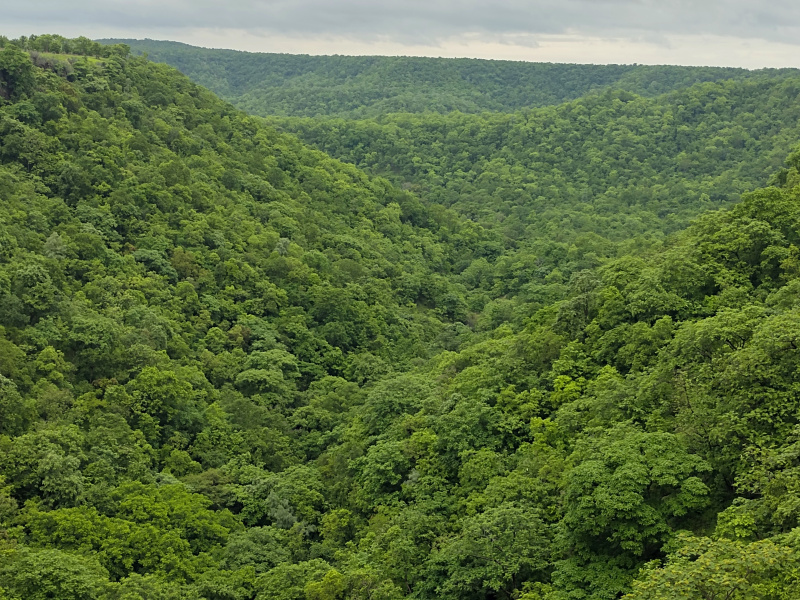 Additional image 2 of Simrol, Indore