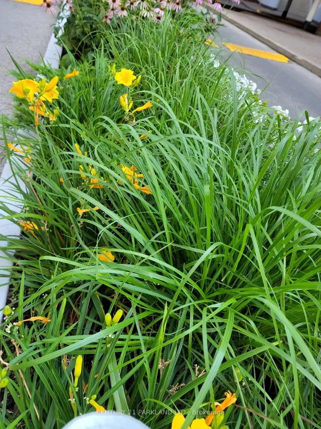 Additional image 27 of 1 Massey Sq Unit 2015