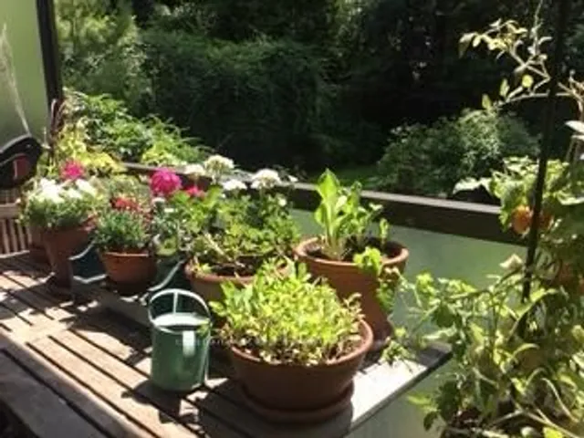 Additional image 23 of 120 Rosedale Valley Rd Unit 206