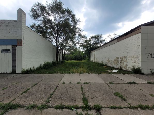 7419 Puritan St, Detroit, MI 48238