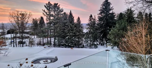 Additional image 48 of 172 Hillcrest Ave