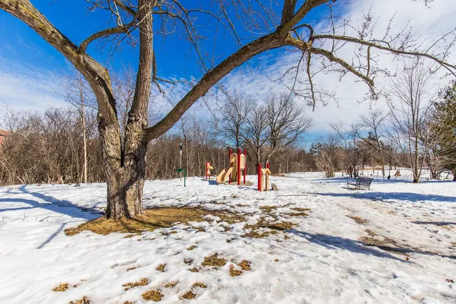 Additional image 41 of 43A Chester St Unit A