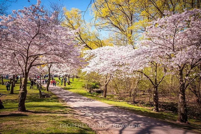 Additional image 40 of 347 Sorauren Ave Unit 223