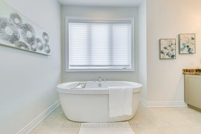 Additional image 18 of 55 Ballmer Tr