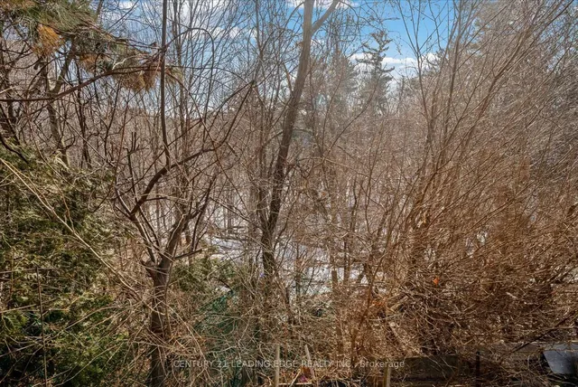 Additional image 36 of 21 Newlin Cres