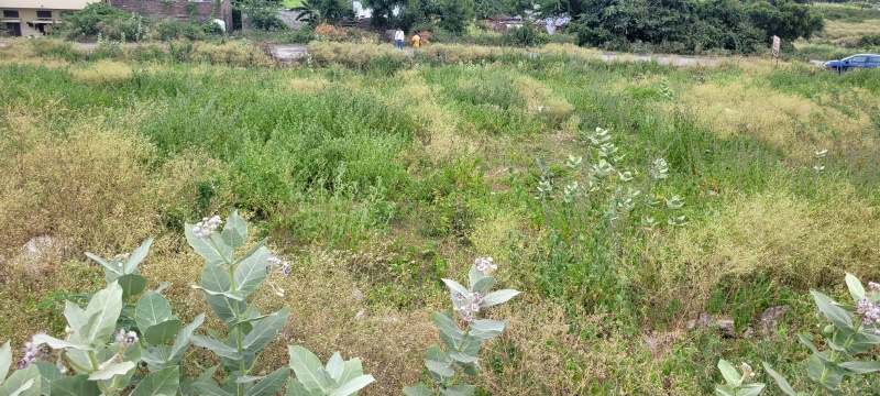 Additional image 3 of Balicha, Udaipur