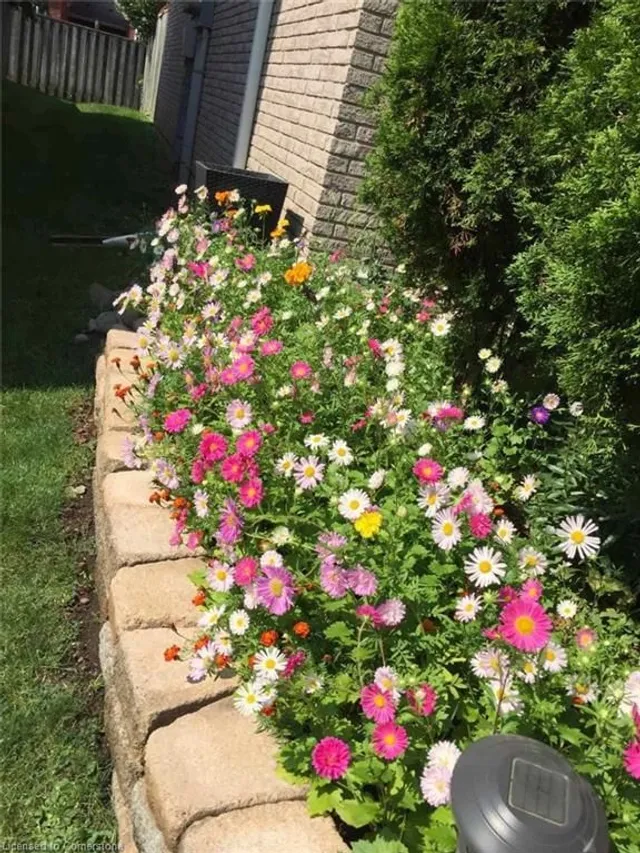 Additional image 34 of 610 Barton St Unit 16