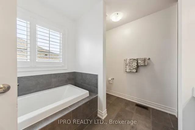 Additional image 27 of 1187 Raspberry Terr