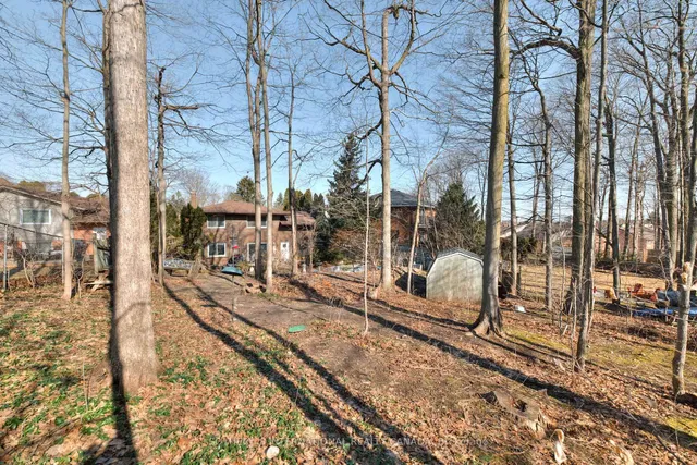Additional image 38 of 223 Southwood Dr
