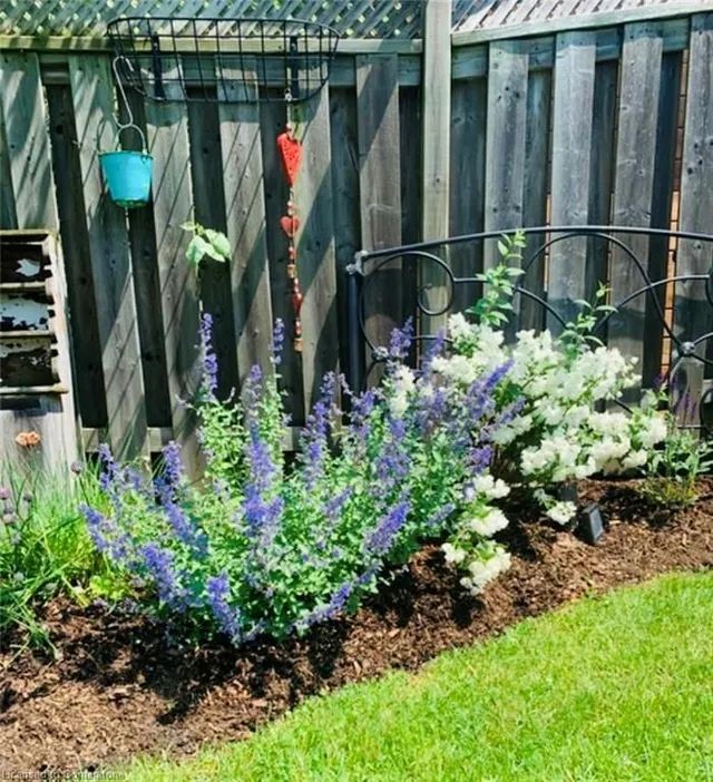 Additional image 48 of 3 Magenta Crt