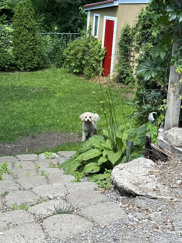 Additional image 38 of 106 Foxridge Dr