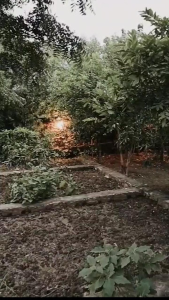 Additional image 2 of Girwa, Udaipur