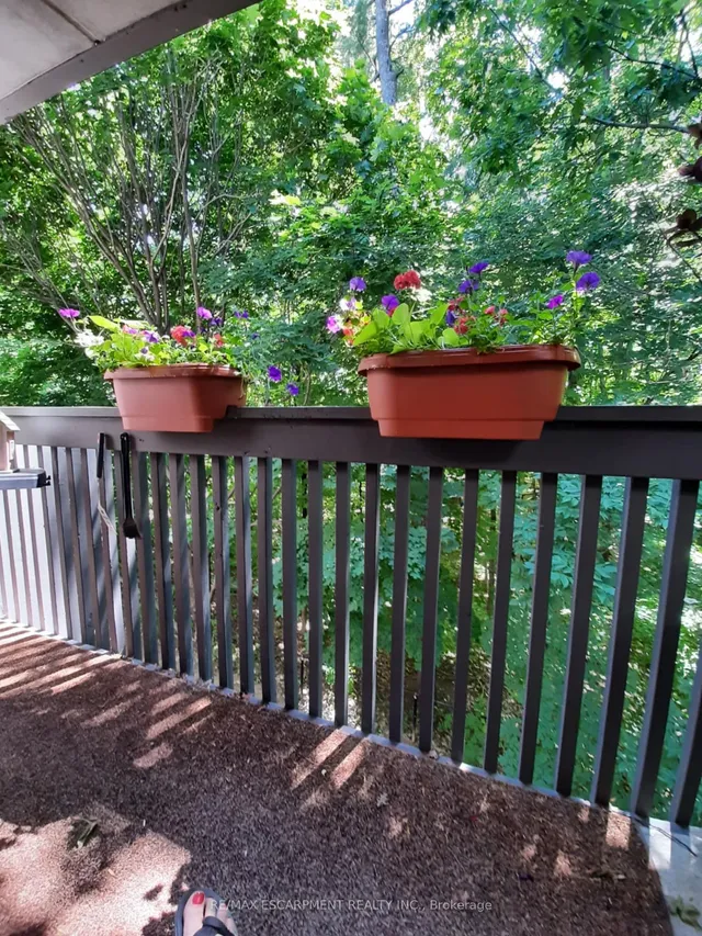 Additional image 34 of 2030 Cleaver Ave Unit 213