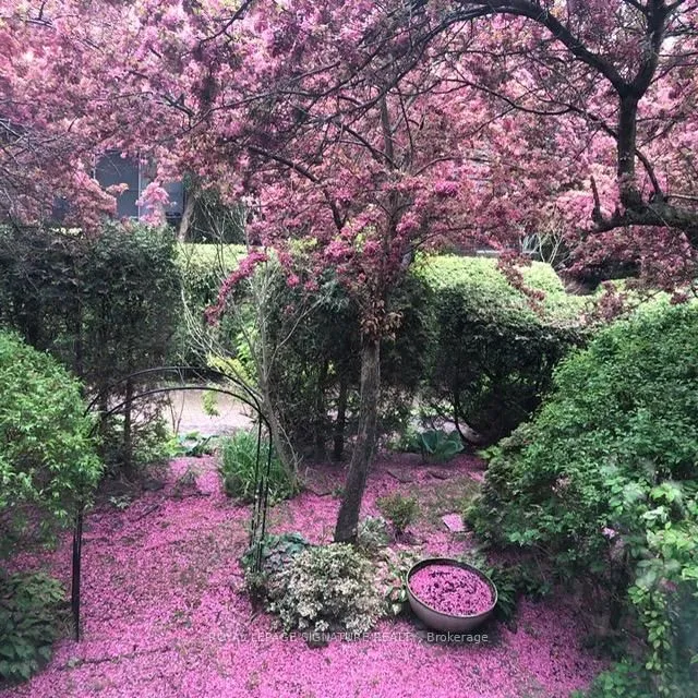 Additional image 34 of 19 Laurie Shepway N/A