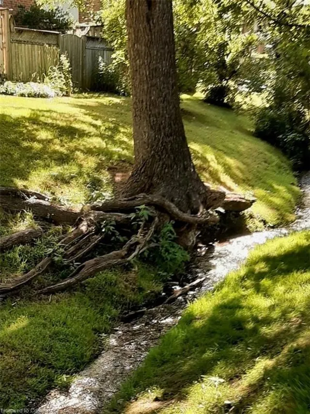 Additional image 35 of 9 Trudy Crt