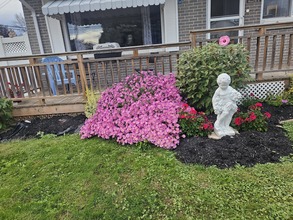 Additional image 4 of 406 Wood St E