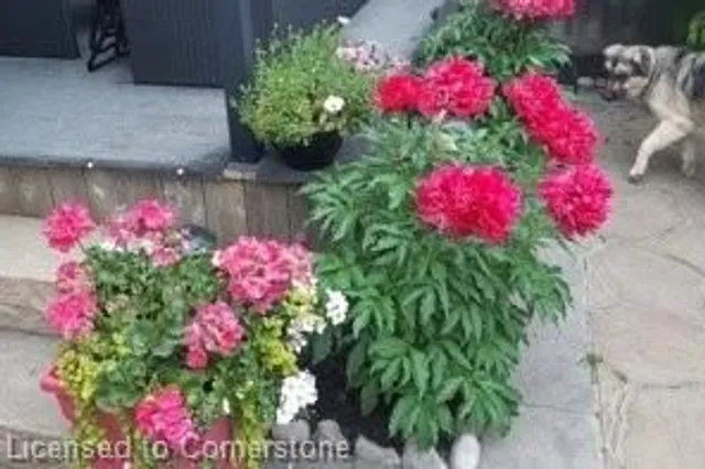 Additional image 42 of 10 Pumpkin Pass Unit 24