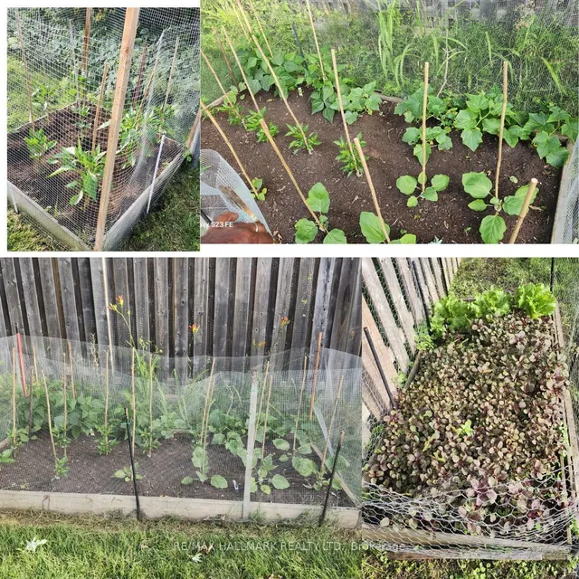 Additional image 37 of 20 St Magnus Dr