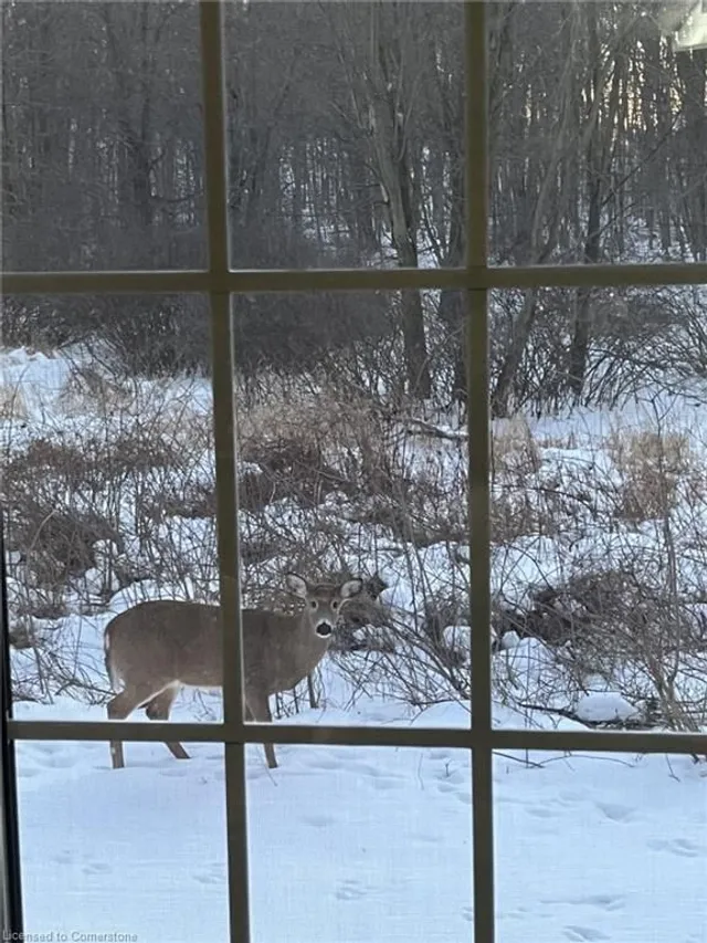 Additional image 46 of 50 Bryan Crt Unit 31