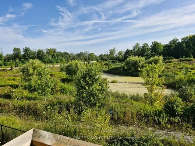 Additional image 44 of 54 Borers Creek Circ