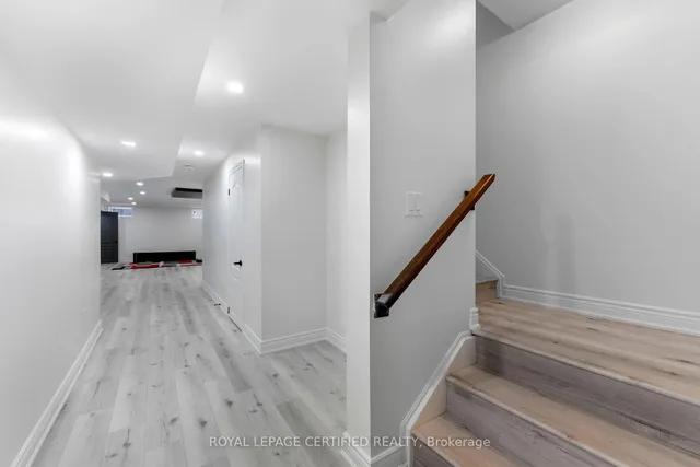 Additional image 26 of 84 Iceland Poppy Tr