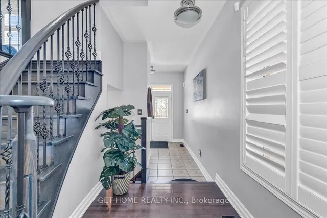 Additional image 13 of 54 Iceland Poppy Tr