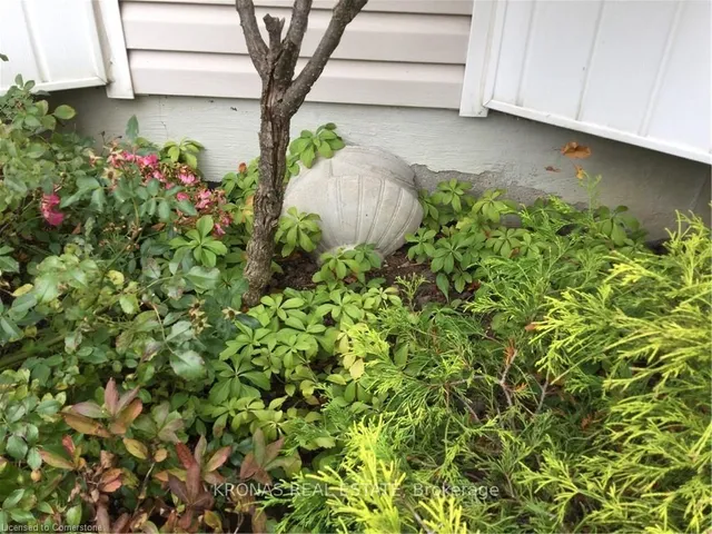 Additional image 40 of 212 SILVERBIRCH Blvd