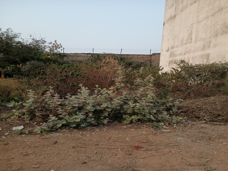 Additional image 3 of Kamal Vihar, Raipur