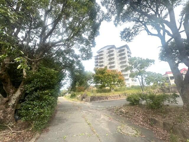 Additional image 13 of Ikeda, Shodoshima-cho, Shodo-gun, Kagawa Prefecture